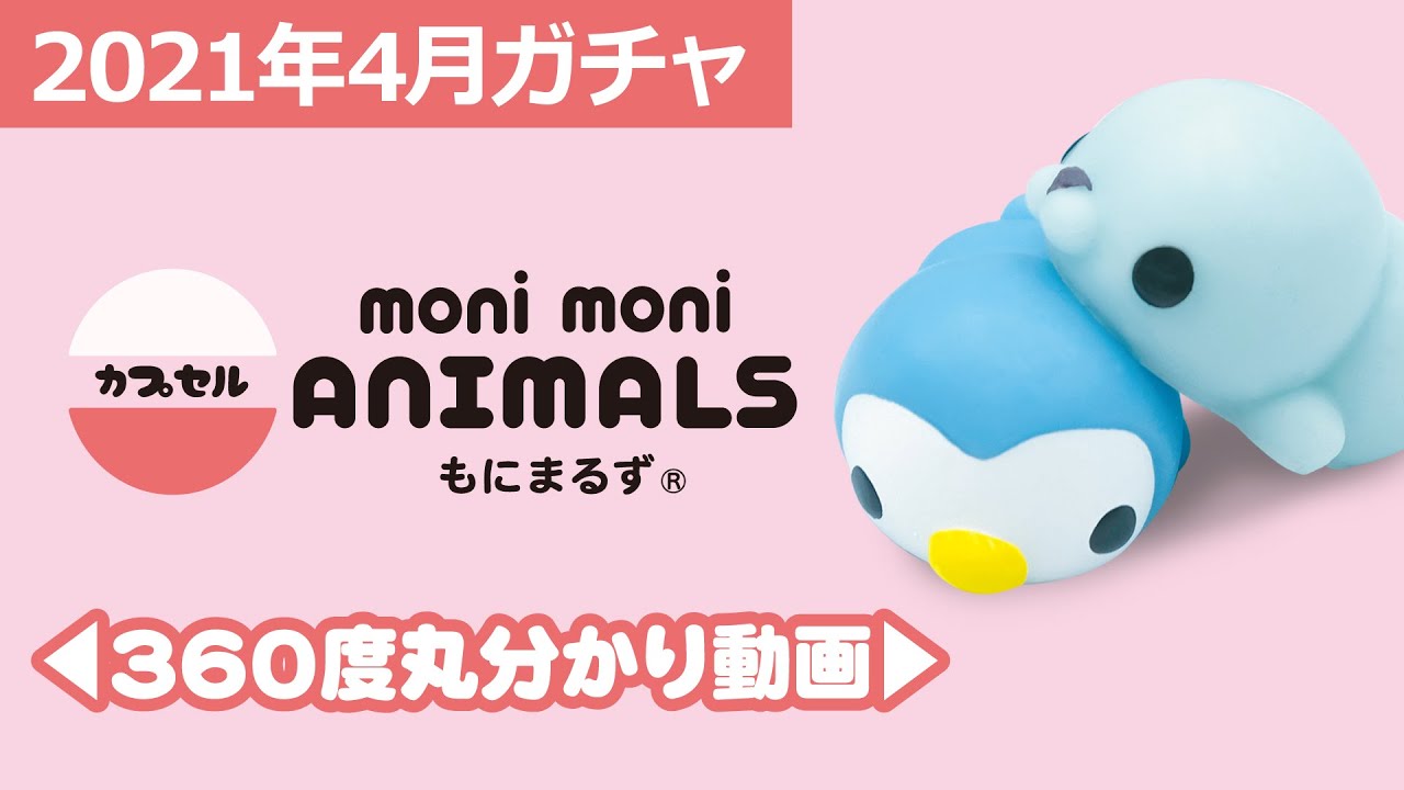 もにまるず AYAMO BONE moni moni ANIMALS ブルーハムハム × もにまるず