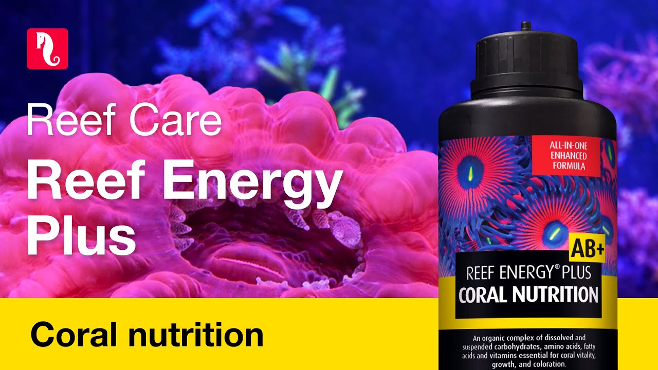 Reef Energy AB+ Plus Coral Food (500 ml) - Red Sea
