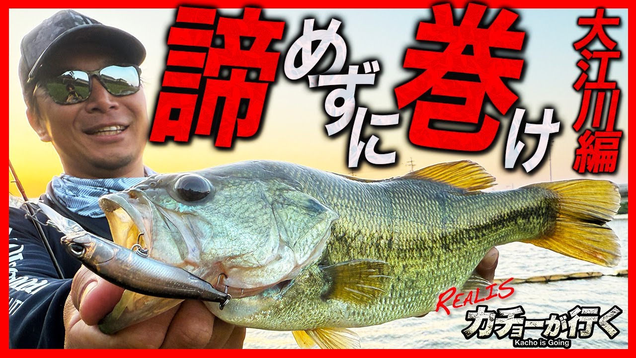 REALIS ROZANTE - BASS｜製品情報｜DUO International / ルアー