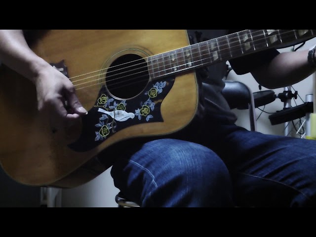 Aria DOVE CUSTOM WD-30/美品 アリア ダヴ・モデル （Aria WD-30