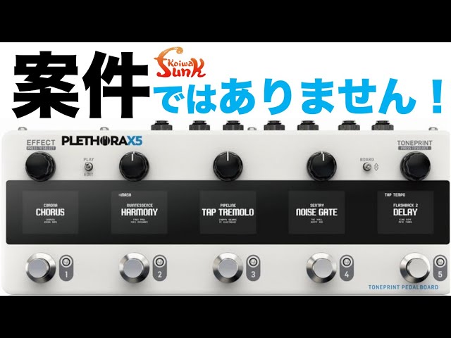 レビューしてません】アナログ原始人たちが最新空間系マルチ