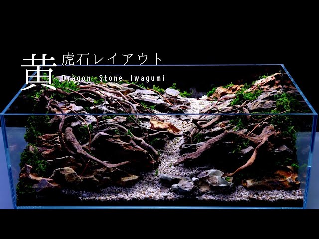 1[特大]ADA 黄虎石 約3.7キロ☆水槽 レイアウト アクアリウム 気孔石