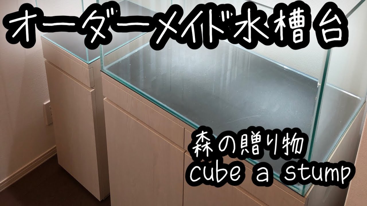 アクアリウム】オーダーメイド水槽台が届いた！水槽台と水槽の設置