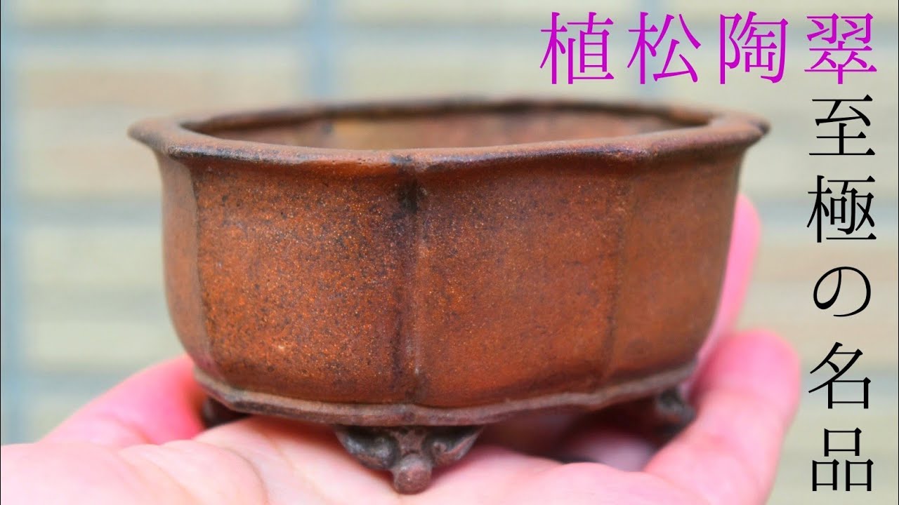 美品1970年頃◇東京植松陶翠『陶翠』ネズ/リヒ 長角 中深 外縁 切足