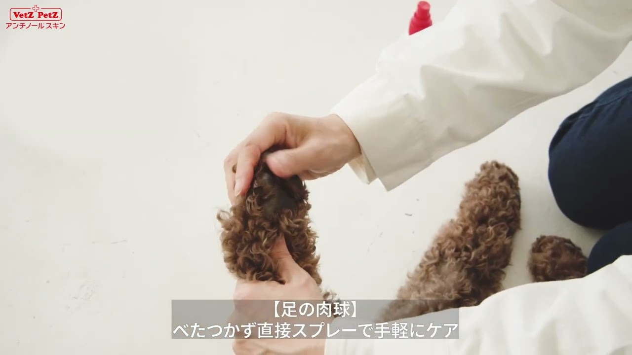 新商品】アンチノールスキン使用箇所 - YouTube