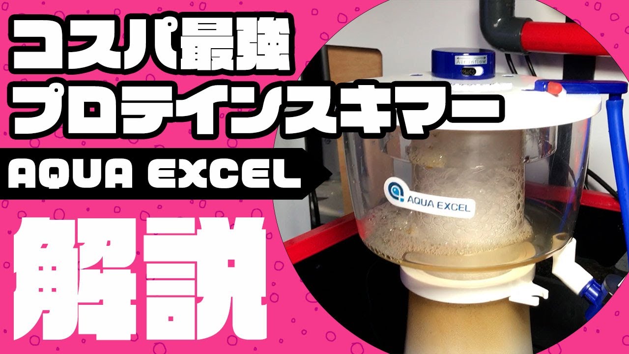 The best value protein skimmer! Aqua Excel series - YouTube