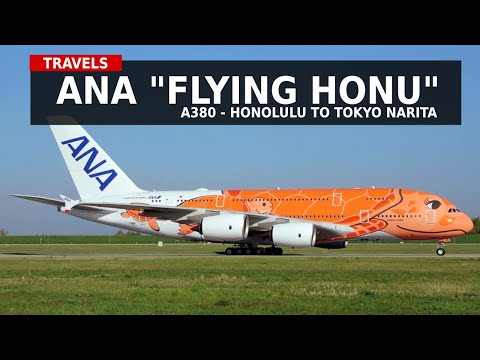 ANA Airbus A380 -The “Flying Honu” Experience (TRAVELS #17) - YouTube