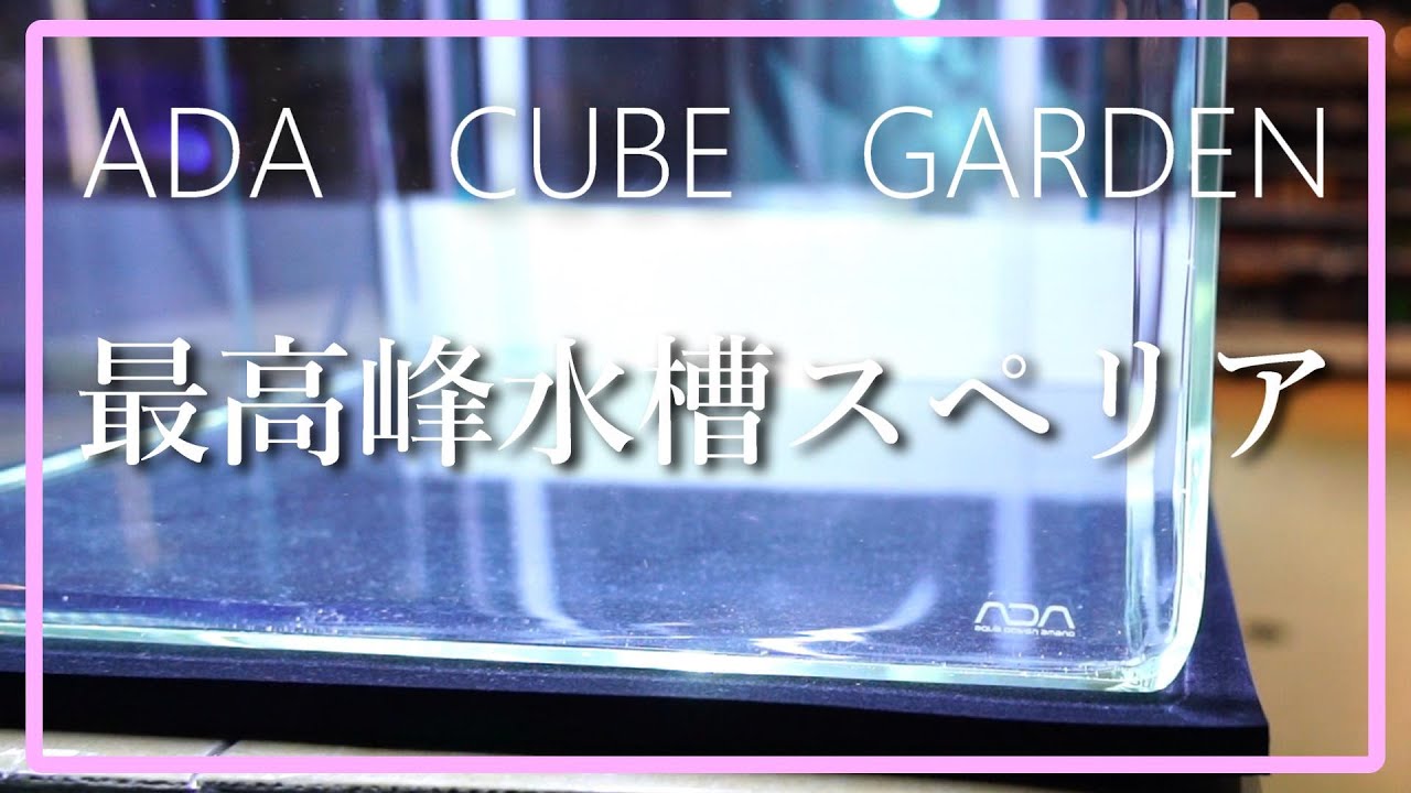 高品質・透明度の高い オーダーメイドのスペリア水槽 No.2 】 ADA