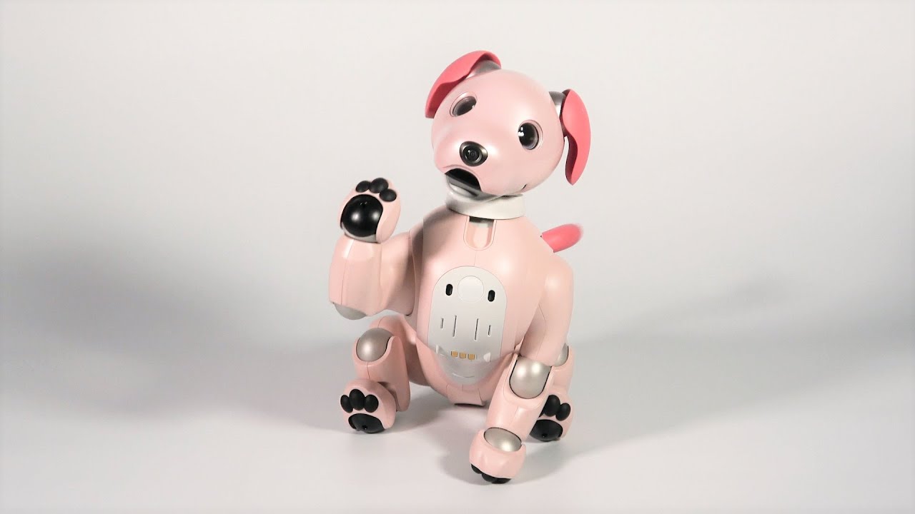 aibo いちごミルク エディション | aibo