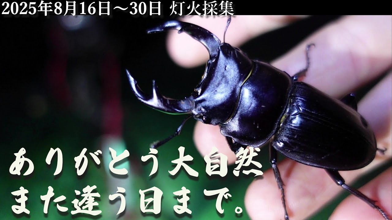 Final Episode] Episode 5: 