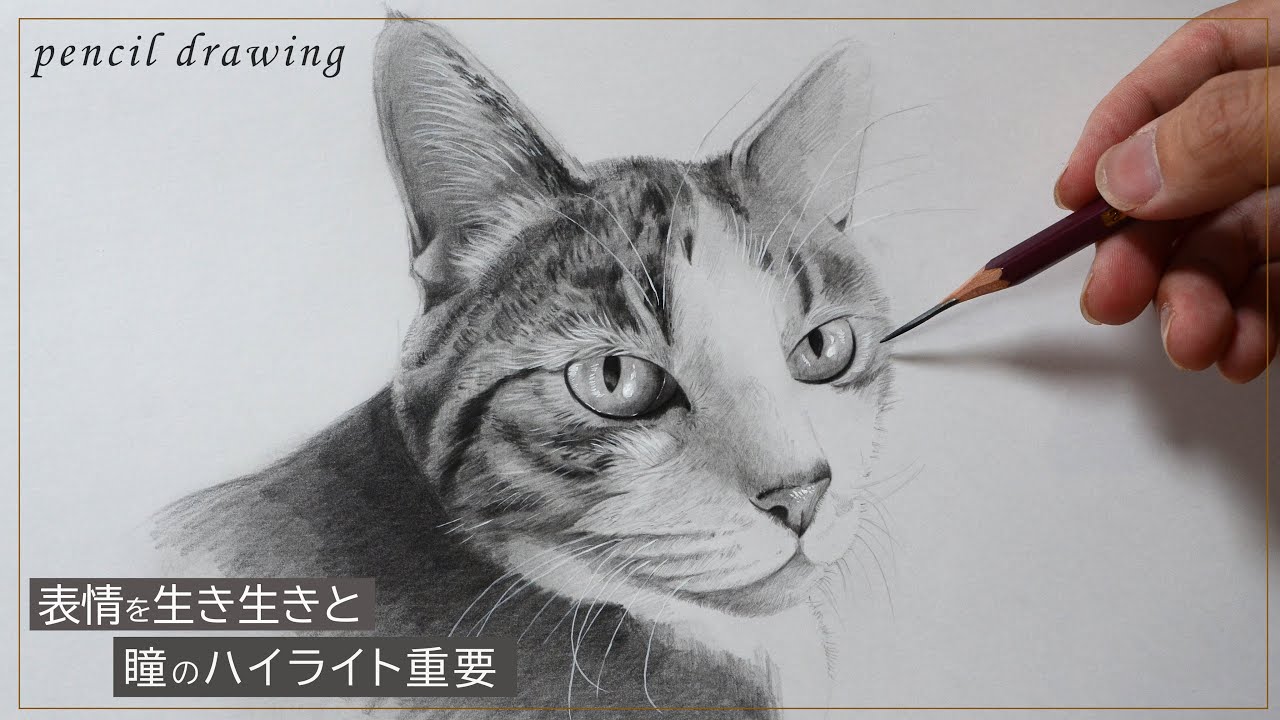 猫の絵 絵画 イラスト ドローイング 【公式通販】