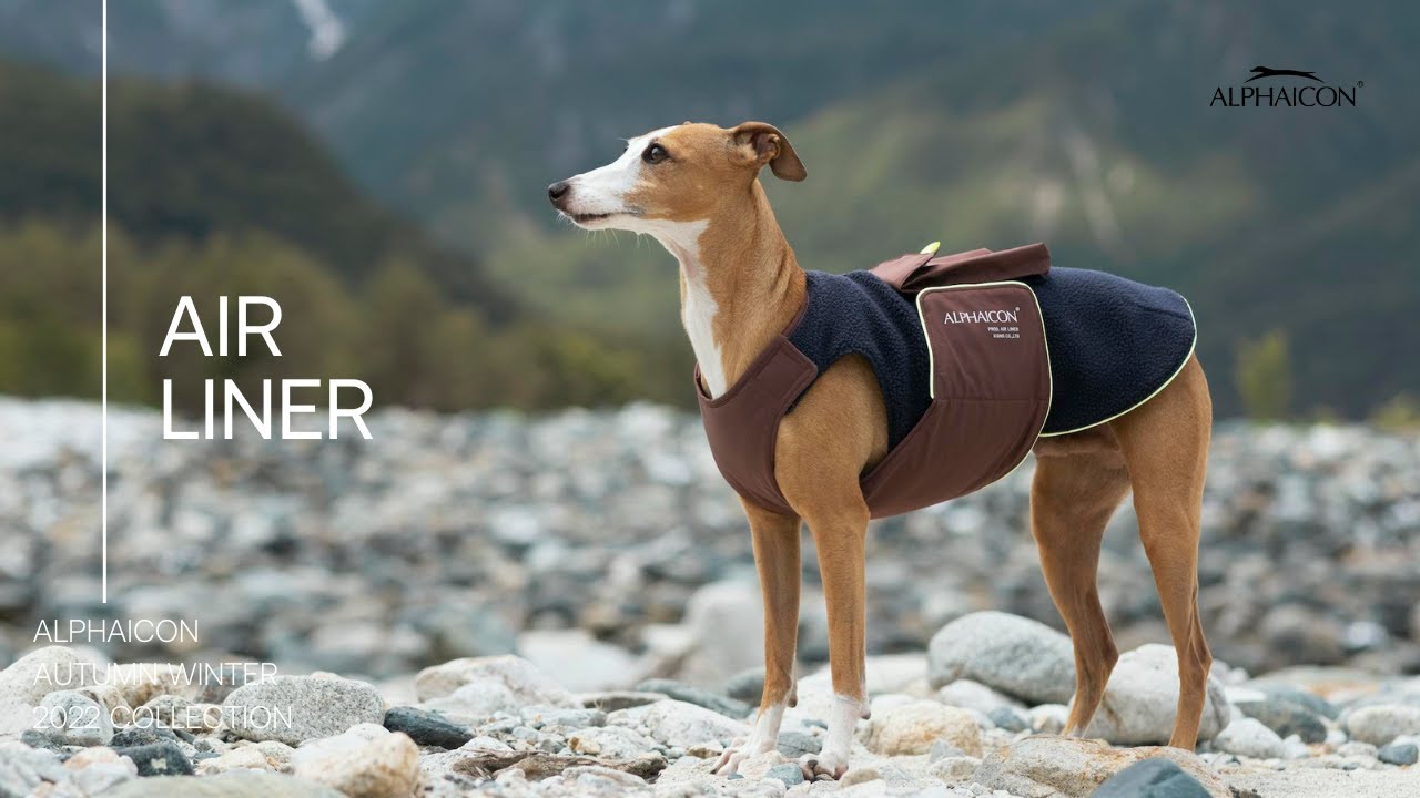 ALPHAICON AIR LINER エアライナー Lサイズ： 2枚 アルファアイコン