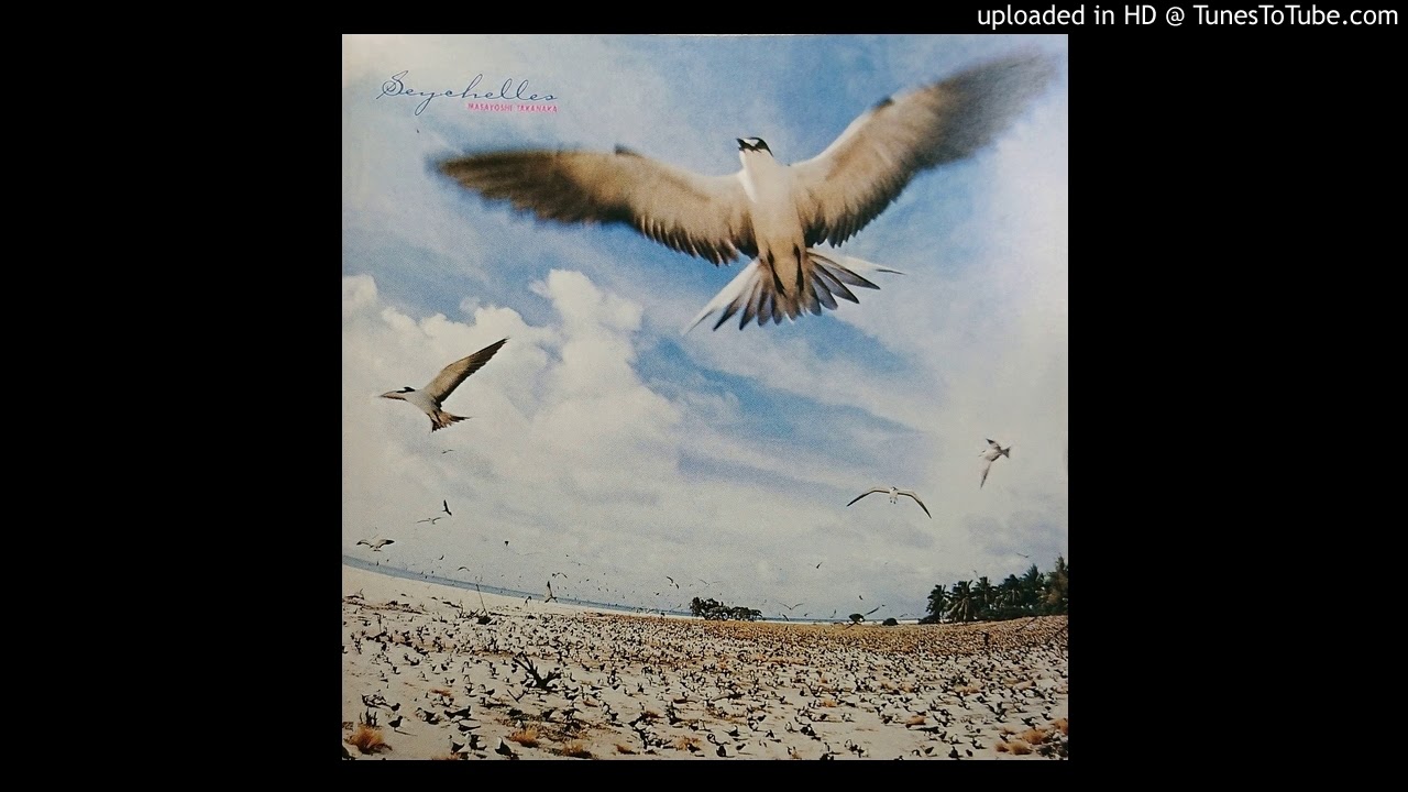 セイシェル諸島 切手 海亀 1979年製 激レアです セイシェル諸島 切手 海亀