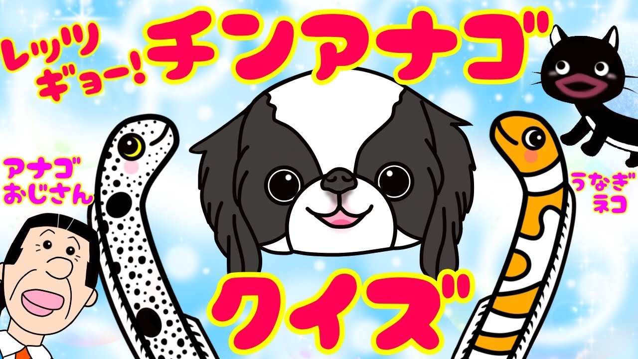 5話☆チンアナゴ クイズ ニシキアナゴ アホロートルちゃんの物語