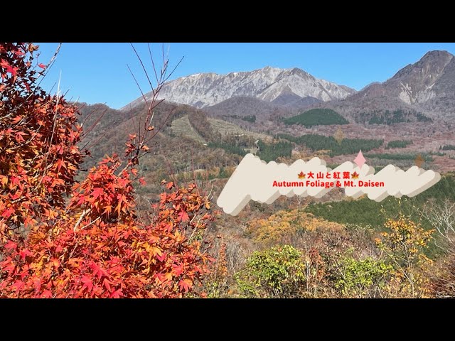 こころの風景コレクション【谷田穎郎 大山の紅葉（鍵掛峠）】60％お