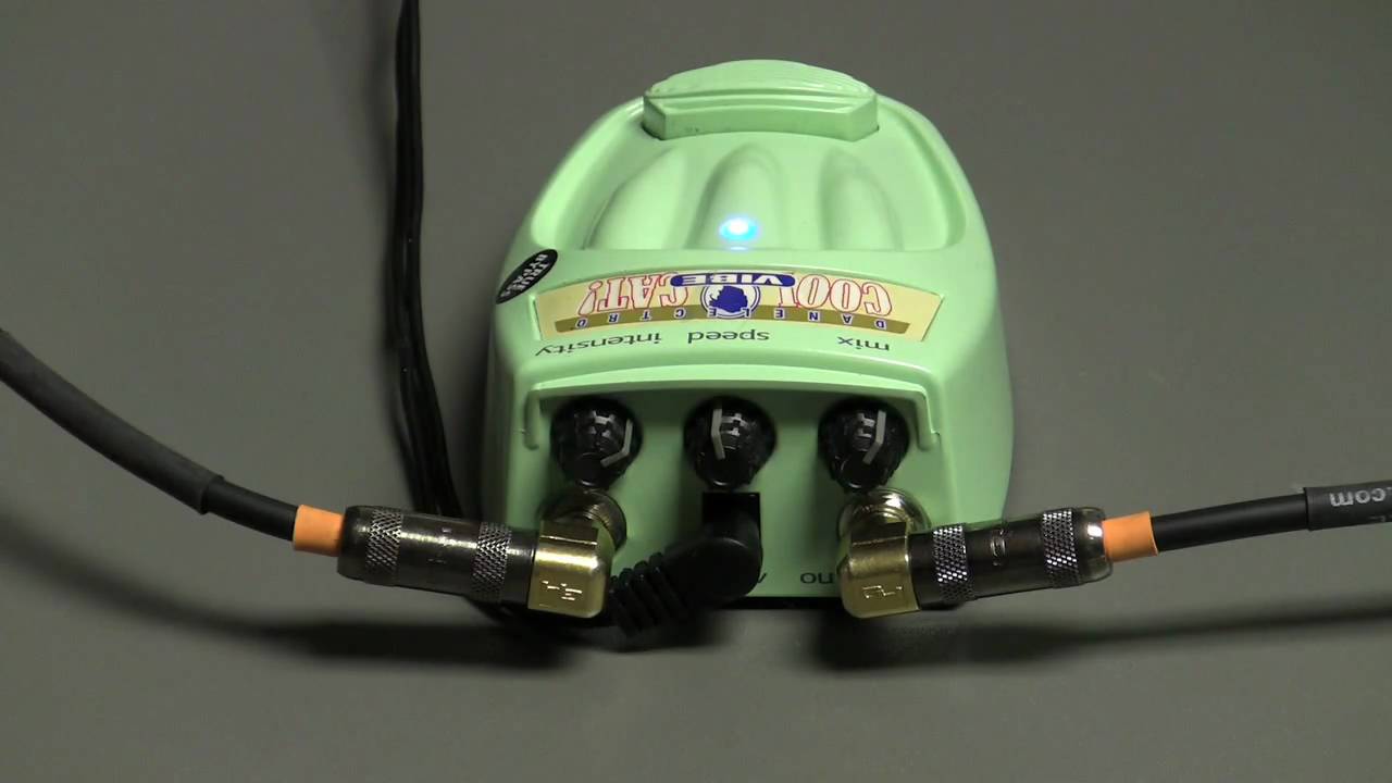 Cool Cat Vibe - YouTube