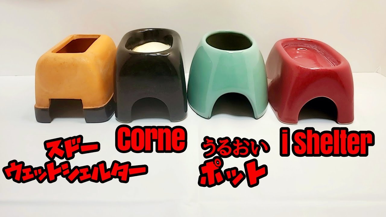 比較 】 爬虫類シェルター、個人的オススメはコレ!! 【 レオパ