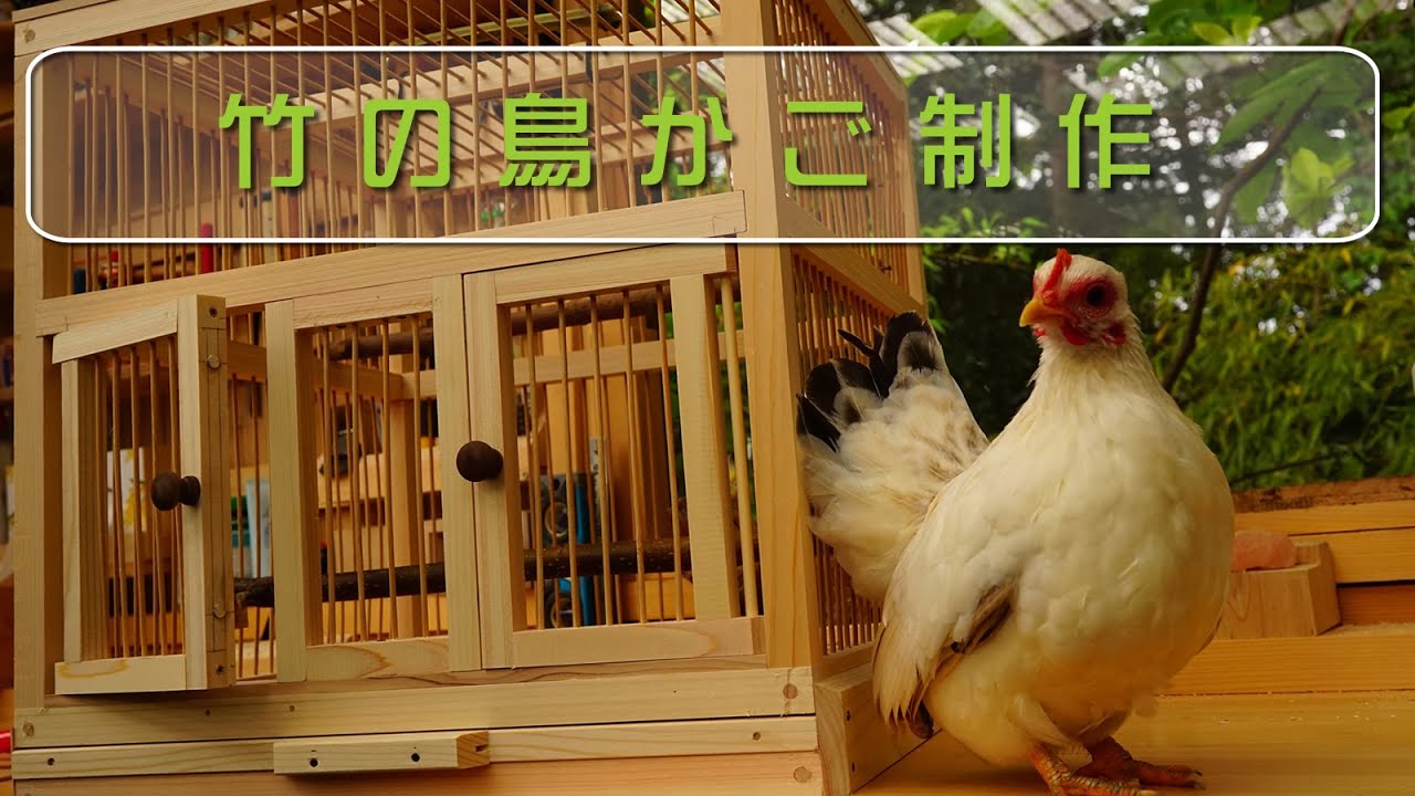 渉工房】鳥籠【職人手作り】 渉工房】鳥籠【職人手作り】 【公式通販】