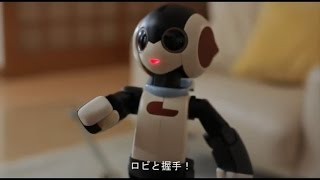 ロビ 創刊号〜70号(完結号)全巻&専用バインダー5冊、専用ロビ