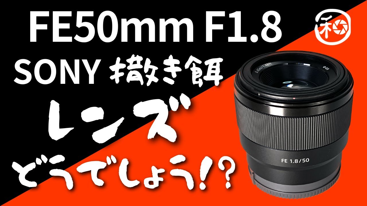 We review the SONY FE 50mm F1.8 bait lens, covering its image