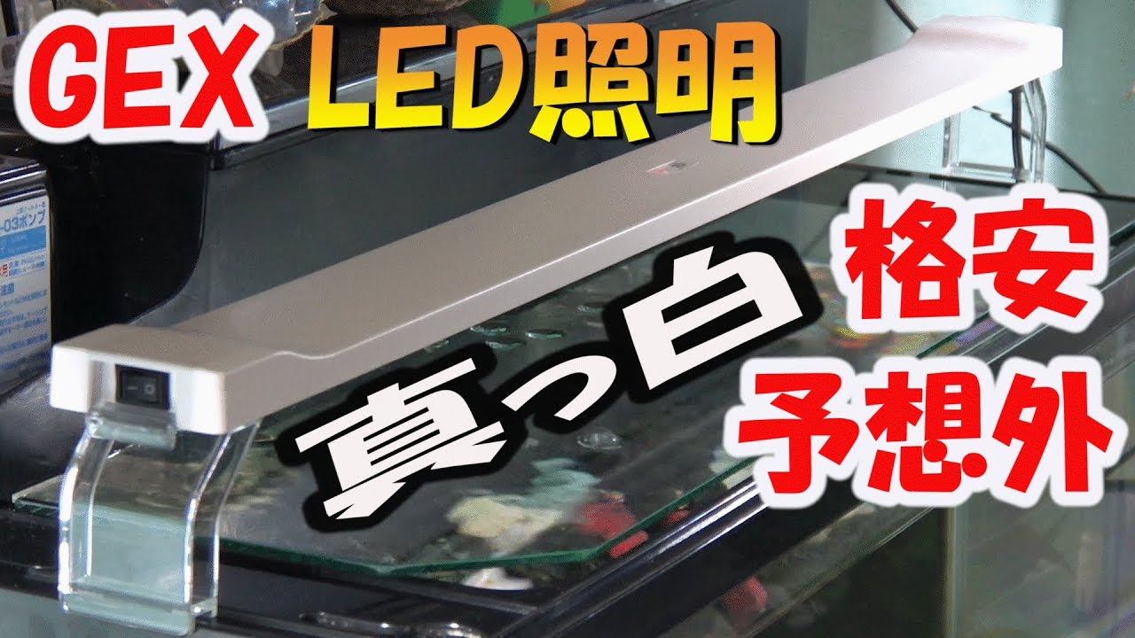 アクアリウム・照明】GEX クリアLEDパワースリム600 開封レビューする