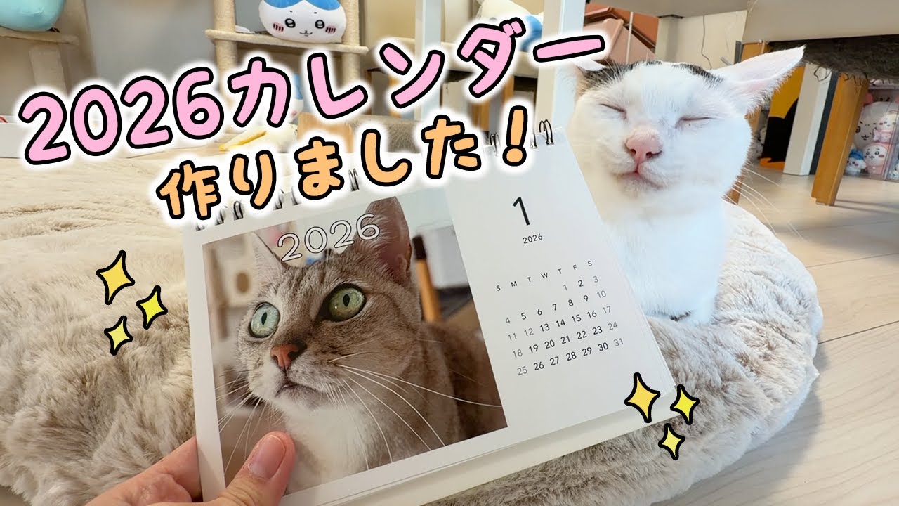 I made a 2026 Nekohou calendar!! - YouTube
