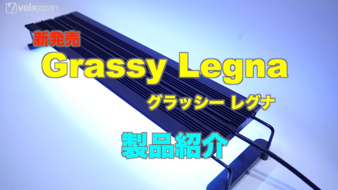新発売】「Grassy Legna」（グラッシーレグナ）製品紹介 マリン