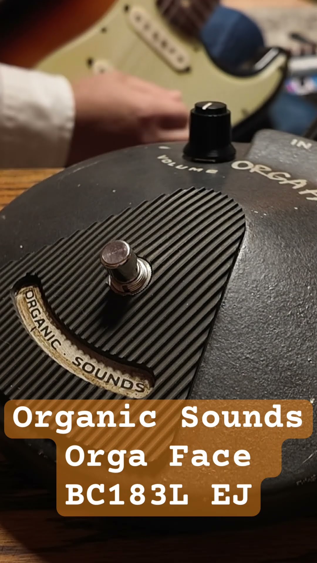 ギター ORGA FACE Silicon BC183L ORGA FACE Silicon / Aged Red