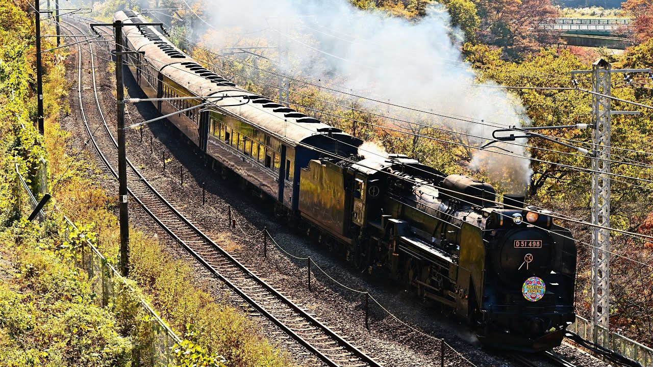 D51 498】D51復活35周年水上号【旧型客車】2023年錦秋 4K60p JNR Class