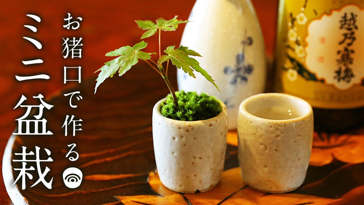 Make a super mini bonsai with diamond bits for beginners How to