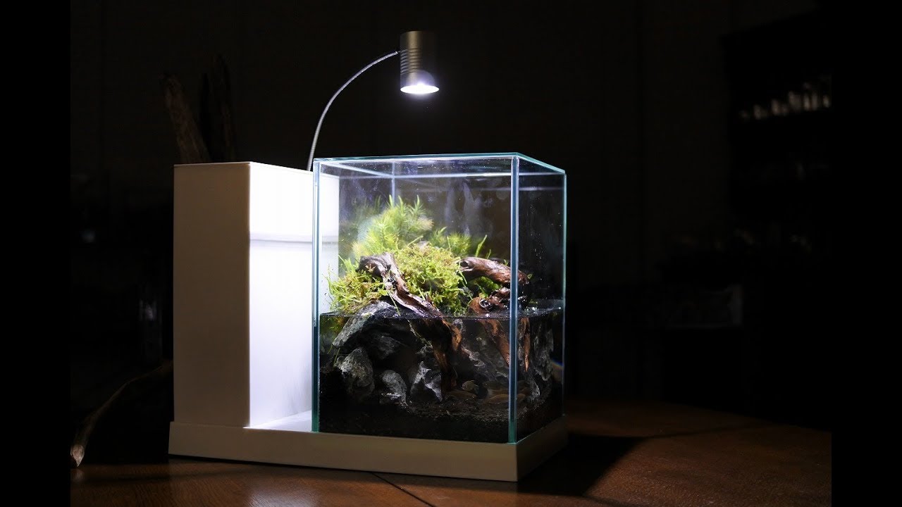 GEX AQUA-U (アクアユー) オールインワン水槽セット GEX aqarista AQUA