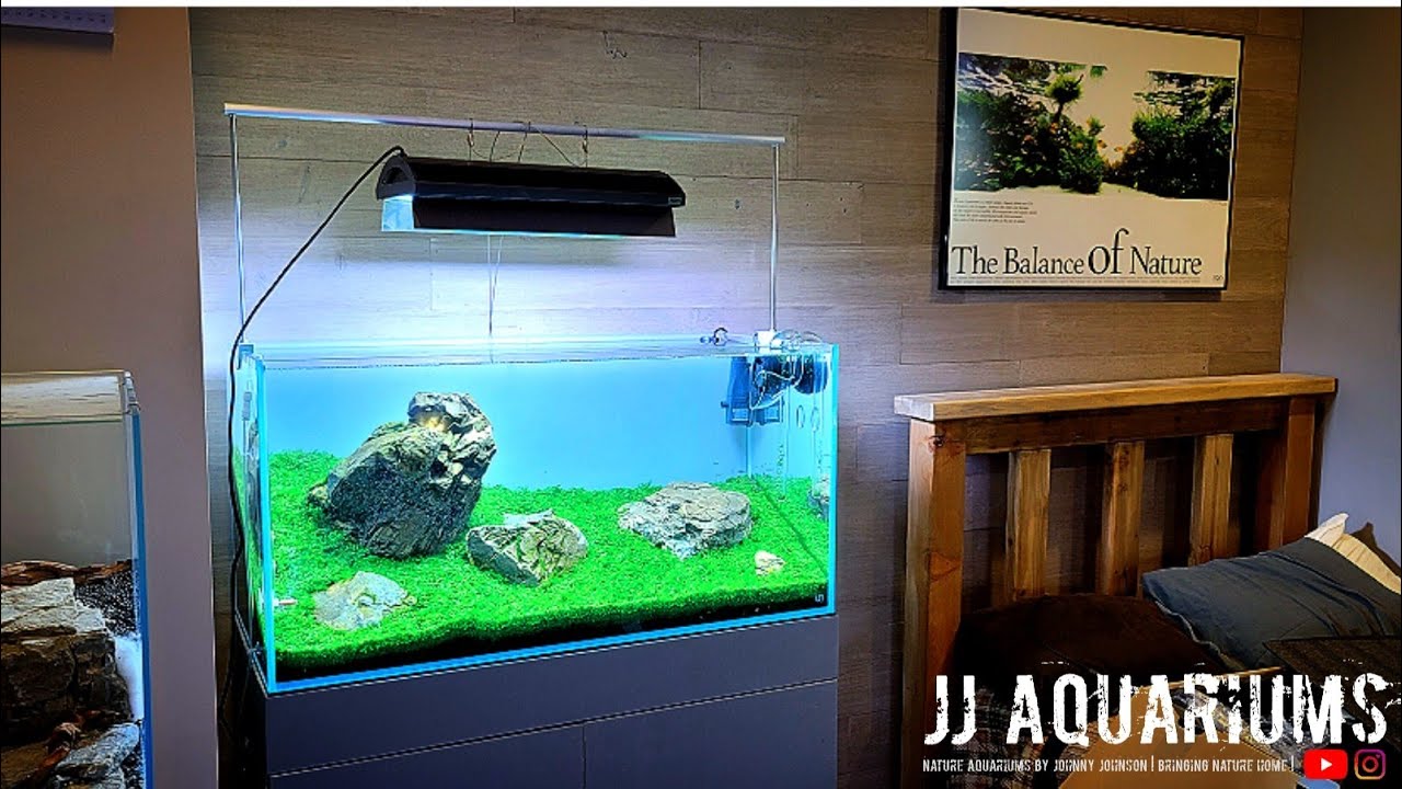 新品未使用ADA ADA ソーラーRGB SOLOR RGB ソーラーRGB (水草育成用LED