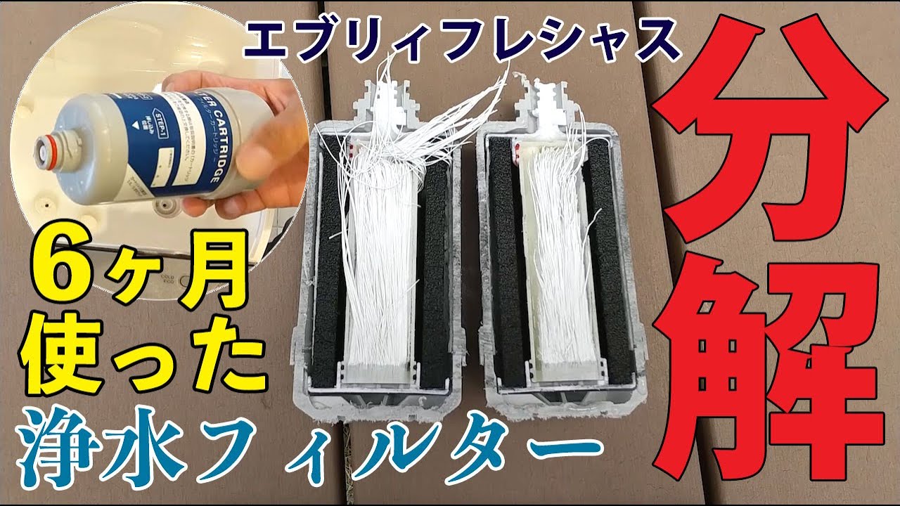 エブリィフレシャス】6ヶ月使用した浄水カートリッジを分解！ノコギリ