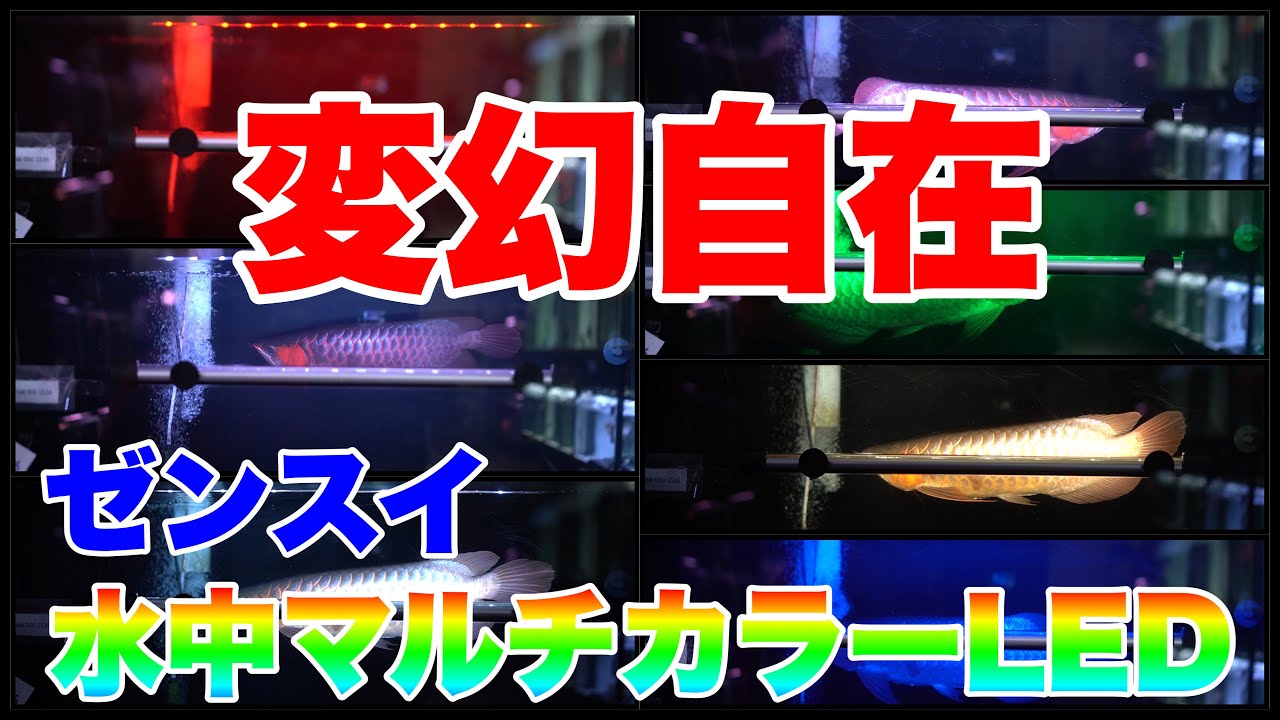 Underwater Light Review] Zensui's new product! I tried out the