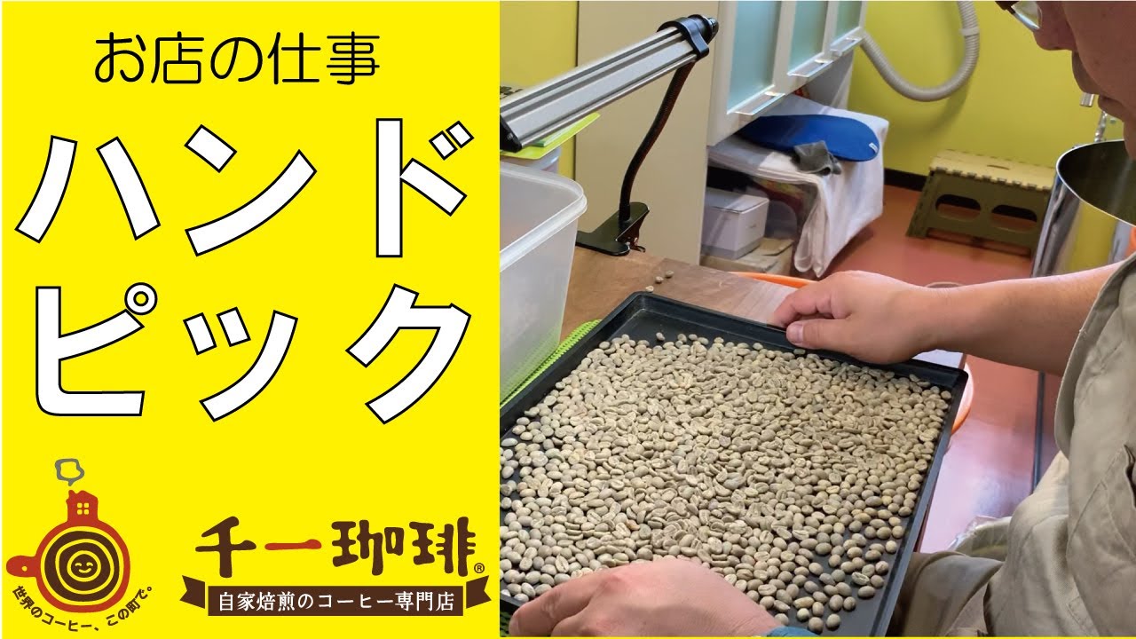 自家焙煎店の生豆ハンドピック - YouTube