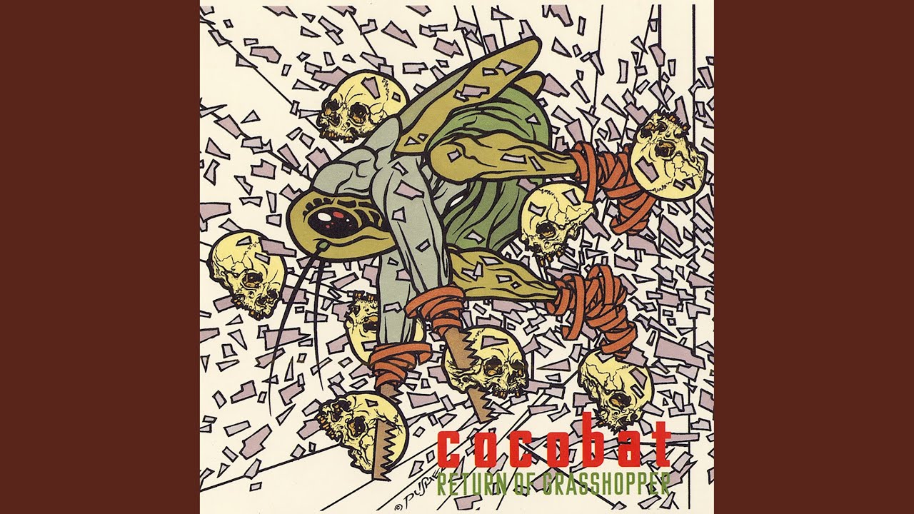 TIN-CAR cocobatココバットPUSHEADパスヘッドTAKESHIT COCOBAT | 激