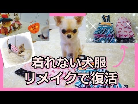 着れない犬服 リメイクで復活☆チワワ~Resurrected by remake of dog