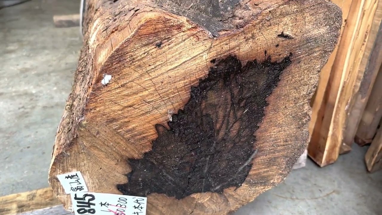 黒柿イコウ＊DIY材料 黒柿イコウ＊DIY材料 黒柿イコウ＊DIY材料