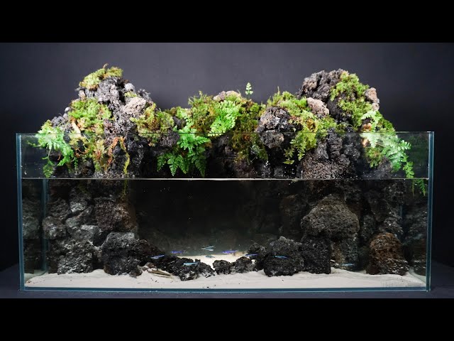 アクアテラリウム 滝 完成品 GEX 赤溶岩石レイアウト アクアテラリウム