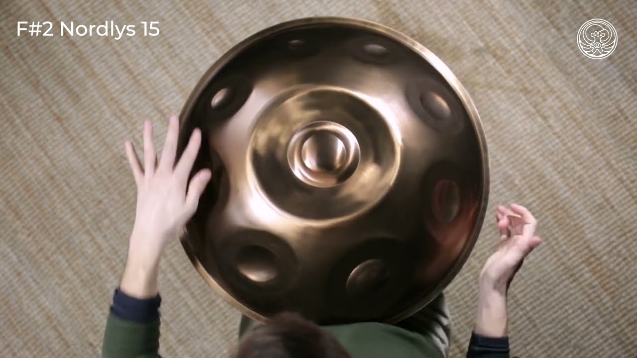 パーカッション・打楽器 LYhandpan F#2 Nordlys15 パーカッション