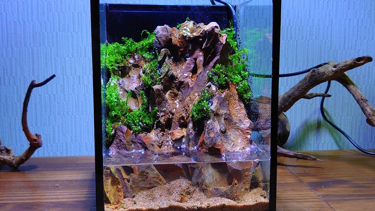 滝の流れるアクアテラリウム 15cmキューブ水槽 ミニ水槽「滝が