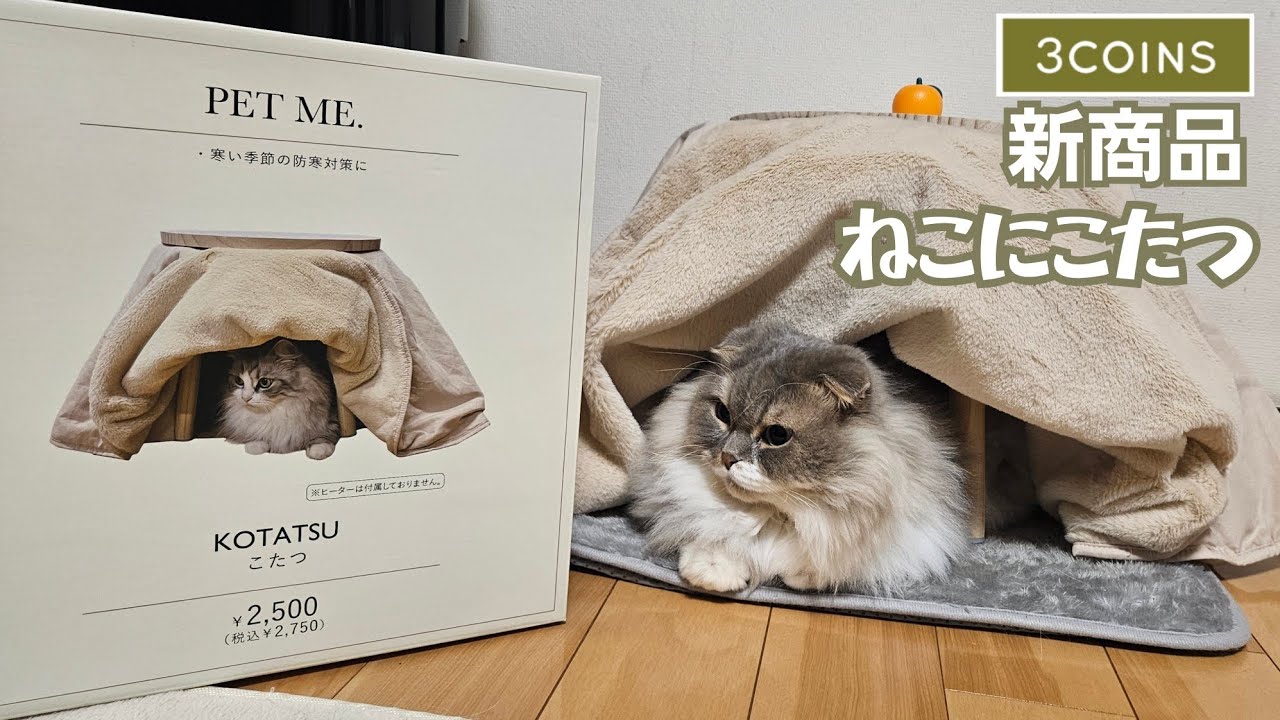 猫はこたつで丸くなる？ 3COINSの新商品KOTATSU(こたつ)試してみました