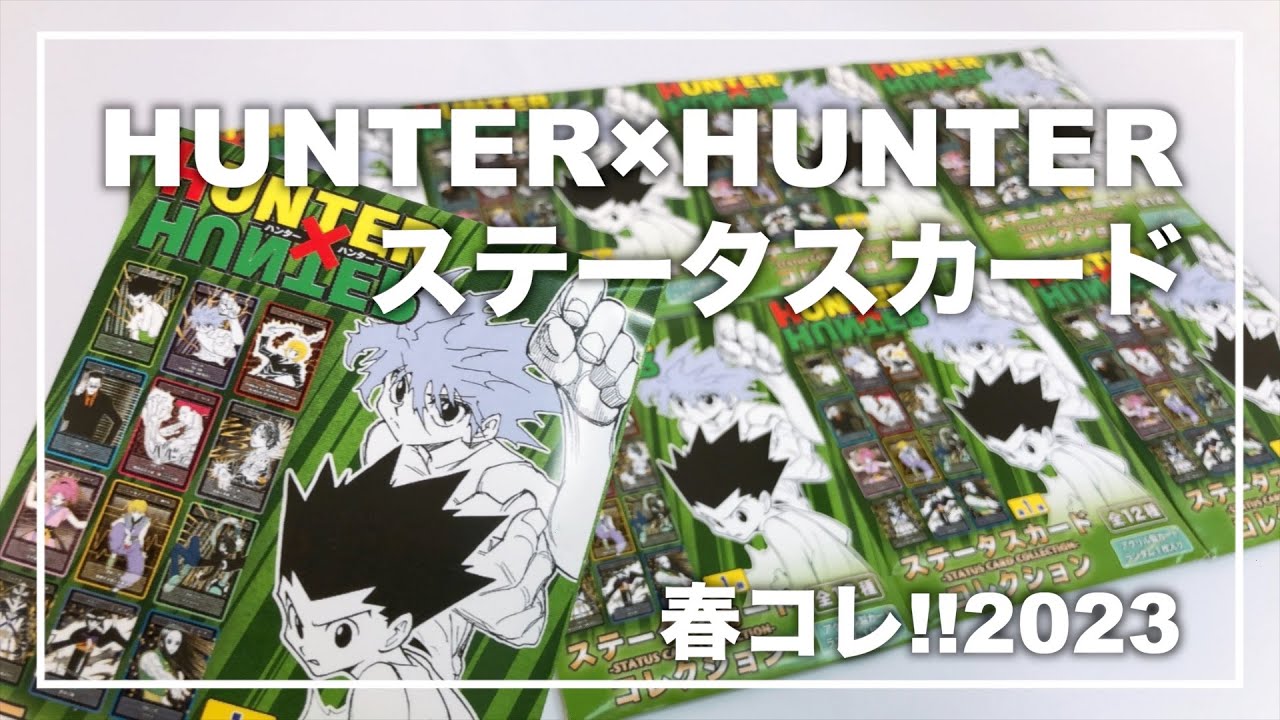 HUNTER×HUNTER ステータスカードコレクション【未開封】10個2