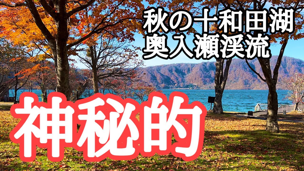 紅葉】美しく神秘的な十和田湖、そして奥入瀬渓流 撮影：2024年11月4日