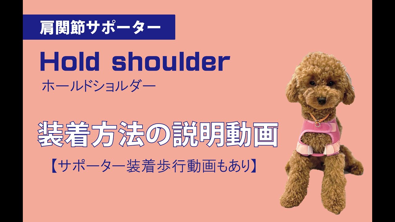 ホールドショルダー - オリジナル製品 - 株式会社松本義肢製作所