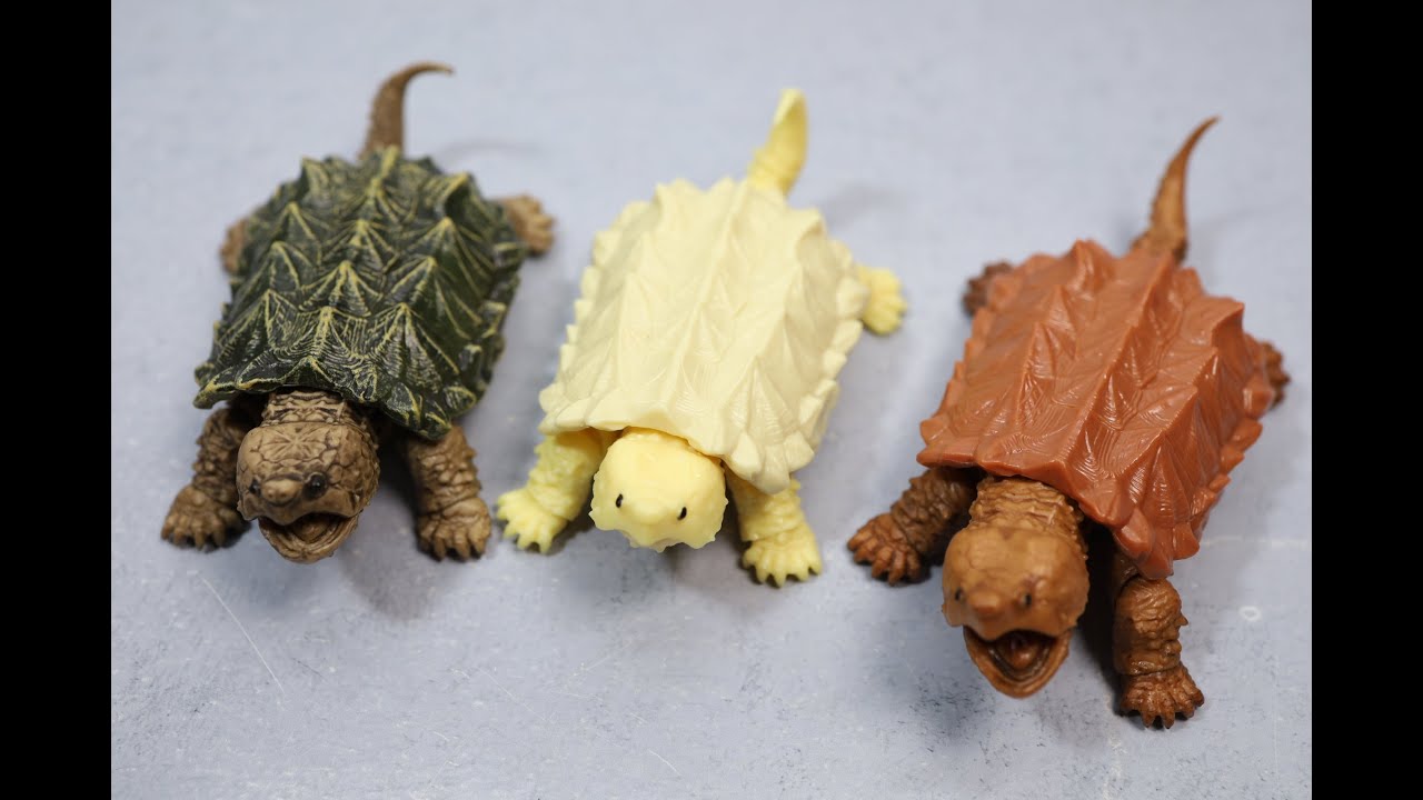 Bandai Gashapon Alligator Snapping Turtle 3 Figure バンダイ