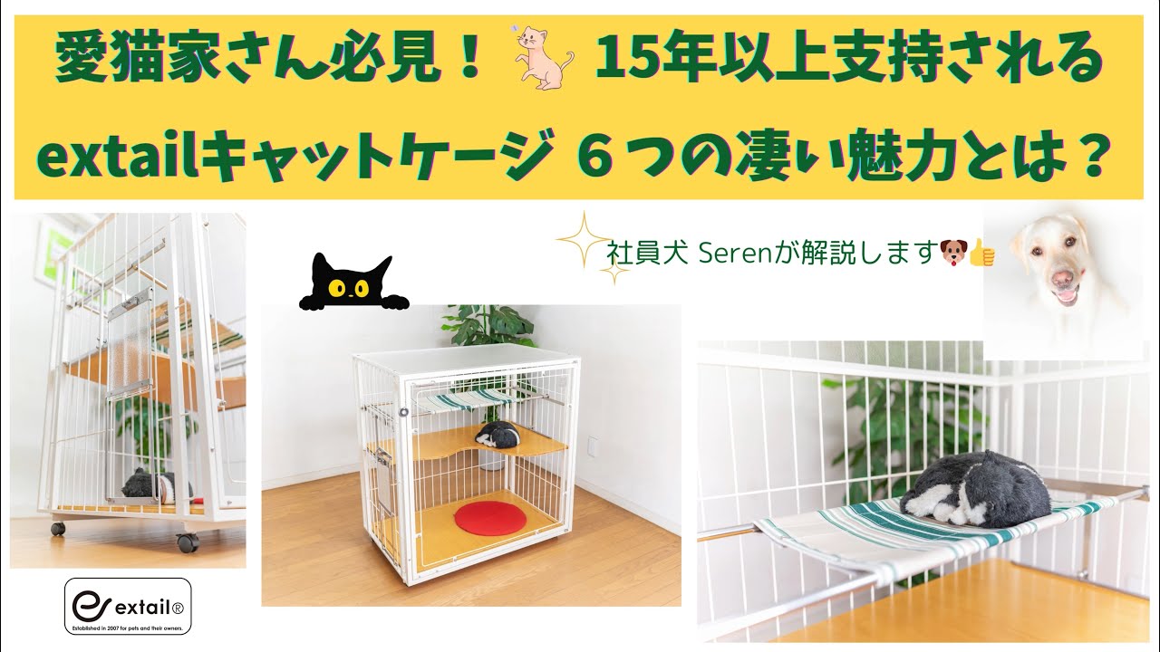 お急ぎセット］おしゃれな子猫用キャットケージ白 - 犬猫用ケージ