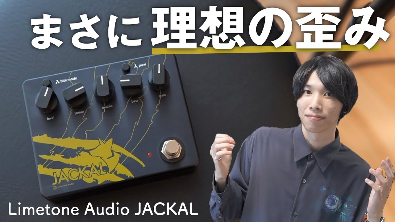 ジャンク「説明欄必読」limetone audio JACKAL ジャンク「説明欄必読