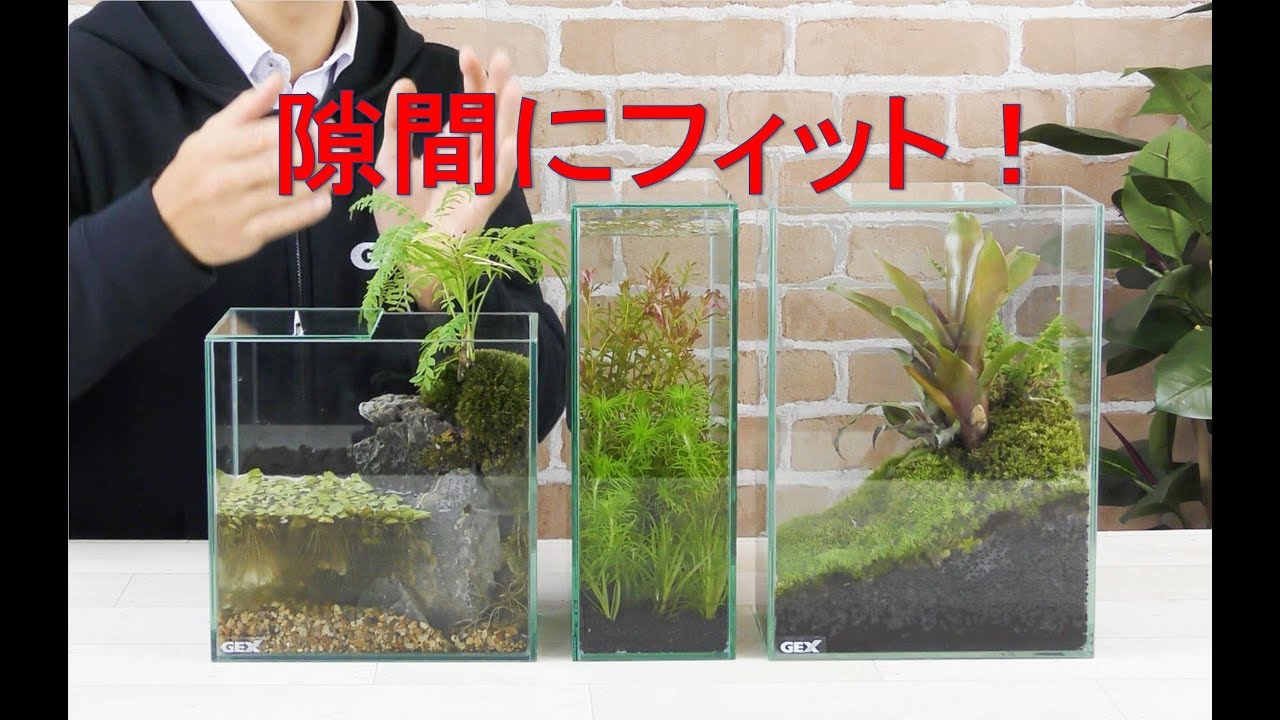 水草ピンセット カーブ | ジェックス株式会社