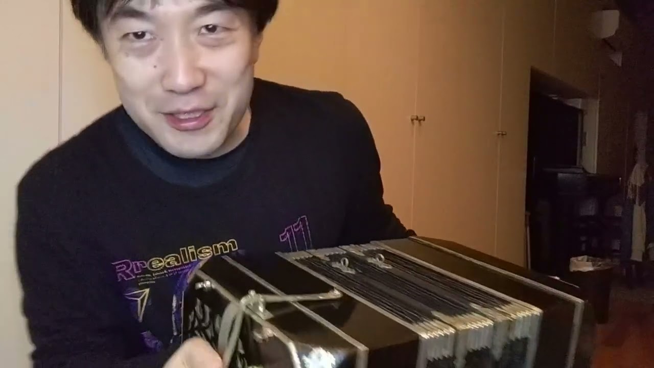 電子バンドネオン BANDOLICA AT-1 Troilo 左右 バンドリカ 電子バンド